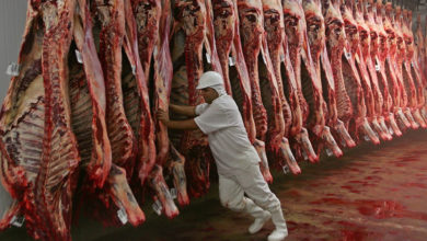 Photo of Comienzan las reuniones para definir qué sucederá con las restricciones a la carne