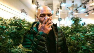 Photo of El exboxeador Mike Tyson es empresario de Cannabis