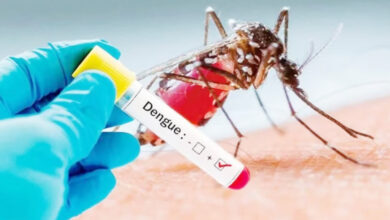 Photo of Informe epidemiológico sobre los casos de dengue y chikungunya