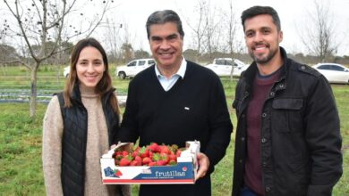 Photo of Capitanich: «Frutillas y nueces pecán generan una matriz productiva diversificada e innovadora para el Chaco»
