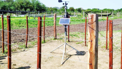 Photo of Instalan sensores que miden la humedad del suelo