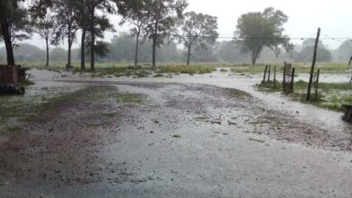Photo of El sudoeste fue la zona más afectada por las lluvias