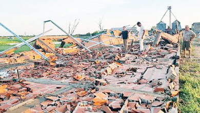 Photo of Un tornado arrasó los   galpones de un productor avícola de Villa Ángela