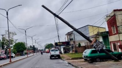 Photo of Secheep: “La mayoría de los postes caídos no pertenecen a la red eléctrica”