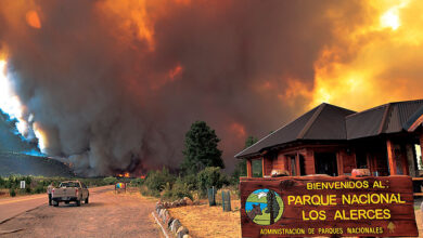 Photo of Se extiende sin control el incendio en el Parque Nacional Los Alerces