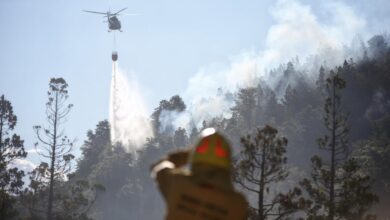 Photo of El incendio ya avanzó sobre más de 2.000 hectáreas del Parque Nacional Los Alerces