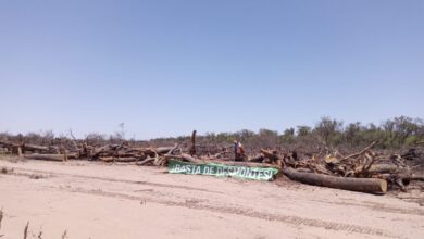 Photo of Somos Monte Chaco se pronunció a favor del ambiente frente a legisladores nacionales