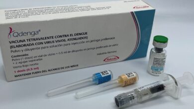 Photo of Proponen incluir vacuna contra el dengue en el Insssep