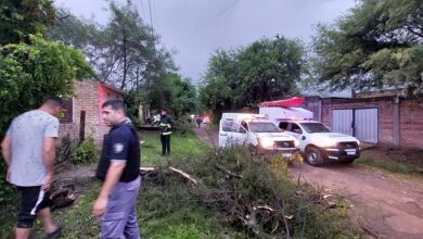 Photo of Un hombre murió por la caída de un árbol sobre su casa durante el temporal