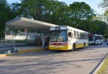 Photo of La Subsecretaría de Transporte instó a las empresas de colectivo a prestar servicios con normalidad