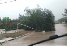 Photo of En La Eduvigis trabajan tras al temporal que dejó al menos 60 postes de baja y media tensión caídos