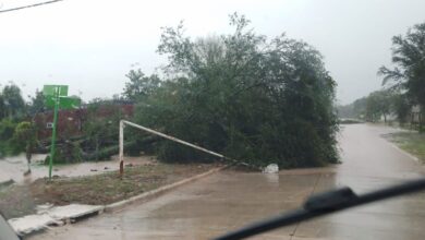Photo of En La Eduvigis trabajan tras el temporal que dejó al menos 60 postes de baja y media tensión caídos