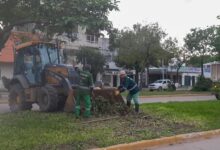 Photo of Realizan mantenimiento d calles y espacios verdes ante posibles lluvias