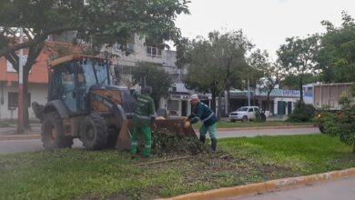 Photo of Realizan mantenimiento de calles y espacios verdes ante posibles lluvias