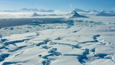 Photo of Qué se sabe acerca de la reserva de petróleo que descubrió Rusia en la Antártida